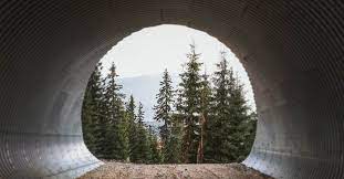 7 Causes Of Tunnel Vision: Plus Symptoms, Treatment & More