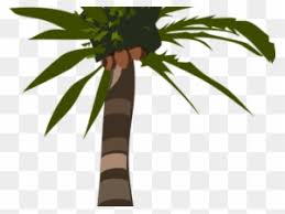 Pikbest telah menemukan 119949 daun kelapa templat gambar desain untuk penggunaan komersial pribadi. Coconut Clipart Pohon Kelapa Coconut Tree Png Free Transparent Png Clipart Images Download