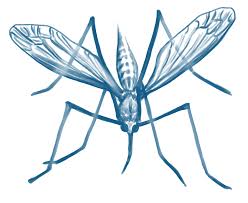 Death Cartoon 2520 2064 Transprent Png Free Download Line Art Symmetry Fly Cleanpng Kisspng We believe in helping you find the product that is right for you. clean png