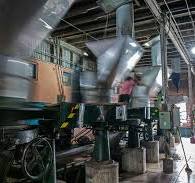 National Tea Day: A photographic view of Ceylon tea production