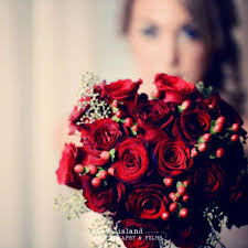 TOP 10 BEST Floral Designers near Rye, NY