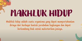 Jumlah soal pilihan ganda = 25 jumlah soal jawaban singkat = 10 jumlah soal esai = 5. Kunci Jawaban Belajar Dari Rumah Tvri 24 Juli 2020 Sd Kelas 1 3