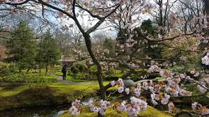 Dining in los gatos, california: 2017 Japanese Garden Deshima Air