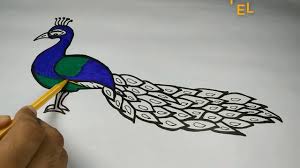 Sign up today & get started for free! Easy Ways To Draw A Peacock Novocom Top