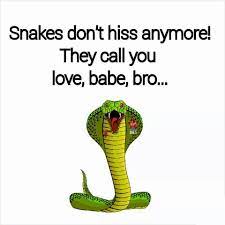 Snake Traitor Friend Fake Friends Quotes Fake Friends Lies Quotes