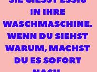 Marder Dachboden 7 Besten Mittel Zur Marderabwehr Schritt Fur Schritt Anleitung Marder Marder Dachboden Marder Vertreiben