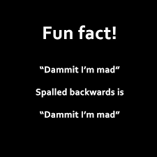 Backwards Or Forwards It Spells The Same Funny Quotes Who Knew Facts Fun Facts