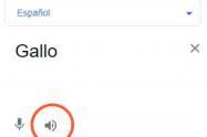 Llevo trabajando como traductora autónoma desde enero de 2017. E 3x4eldcr6jtm