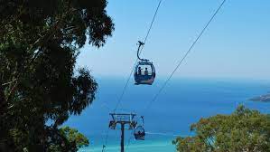 Check spelling or type a new query. Arthurs Seat Eagle
