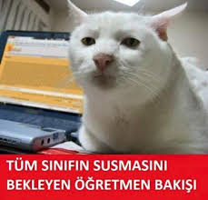 Tum Sinifin Susmasini Bekleyen Ogretmen Bakisi En Komik Kedi Capsleri Burada Komik Goruntuler Komik Seyler Gulunc Resimler