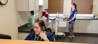 Buying health insurance for the first time seems confusing at first. Health Unit Coordinator Majors And Programs