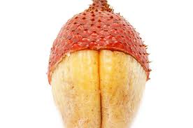 Check spelling or type a new query. Which Strange Exotic Fruit Are You