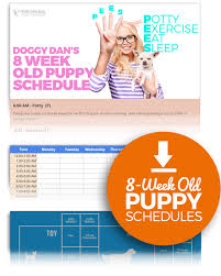 8 Week Old Puppy Schedules Download Image Puppy Schedule Puppy Training Schedule Puppy Training