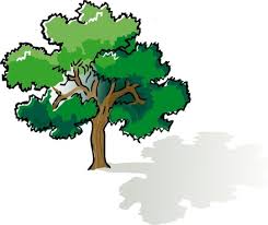 We did not find results for: Live Oak Tree Vector Images Free Vector Download 6 754 Free Vector For Commercial Use Format Ai Eps Cdr Svg Vector Illustration Graphic Art Design Sort By Popular First