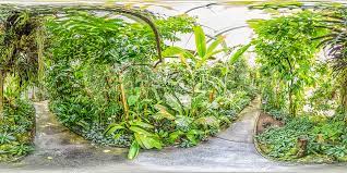 Öffentlicher botanischer garten in basel (de); Botanischer Garten Basel Tropenhaus Botanischer Garten