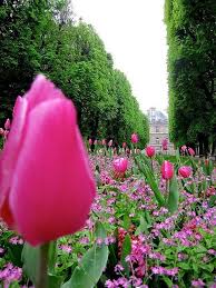 It was created beginning in 1612 by marie de' medici, the widow of king henry iv of france. Jardines De Luxemburgo Jardines Bonitos Jardines Flores Hermosas Del Mundo