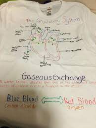 T Shirt Making With Year 10 Gcse Pe Class Students Focuses On The Cardiovascular And Respiratory System Went Down Really Well Gcse Pe Pe Teachers Exams Tips