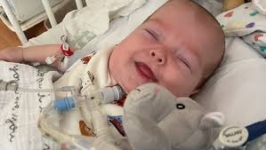 Fundraiser for Kristen Bradny by Julie Majcher : In Memory of Cooper: Aid  for Kristen and Steve