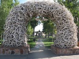 Antler Arch Extreme Thinkover Jackson Hole Teton National Park Jackson Hole Grand Tetons