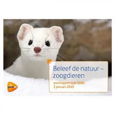 Beleef De Natuur Zoogdieren Postzegelmapje Nr 588b Zoogdieren Natuur Postzegels