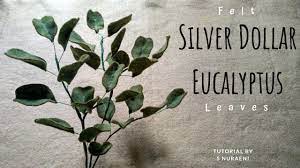Silver Dollar Eucalyptus Tutorial Daun Dari Kain Flanel Diy Felt Eucalyptus Leaves Youtube Felt Leaves Felt Flowers Silver Dollar Eucalyptus