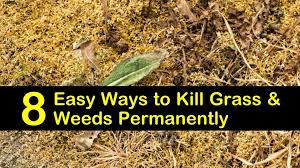 Acetic acid is the active ingredient that makes vinegar a weed killer. 8 Easy Ways To Kill Grass And Weeds Permanently