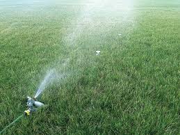 Lawn and garden watering tips. 2