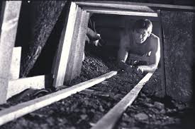 The Unbelievable True Story Behind the Classic Steve McQueen Film, 'The  Great Escape' | War History Online