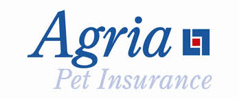 We made numerous pet insurance comparisons in order to compile this list of 15 of the very best pet insurance providers. Our Top 5 Rabbit Insurance Update 2020