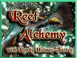 Reef Aquarium Water Parameters By Randy Holmes Farley