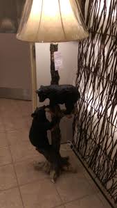Climbing bears floor lamp black log cabin lamps amish 2017 kia optima air filter. Cabin Floor Lamp