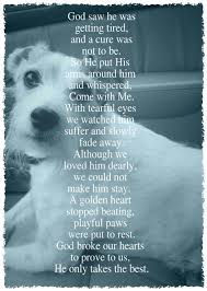 These are some short and simple pet loss poems. Pin On Cute Critters