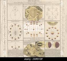 Isaaci newtoni hi-res stock photography and images