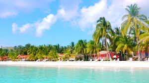 Image result for famous beaches in haiti