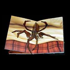 Or the window seat of a plane as the oxygen mask deploys, your drink spills. The Pop Up Book Of Phobias