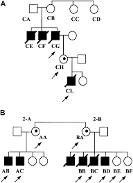 Pedigree Of The 2 Cvid Families Investigated Genetic Trees