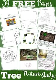 Once you have gathered some acorns, you will be ready for this fun, hands on acorn counting game that helps with counting skills too! Account Suspended Tree Study Homeschool Nature Study Nature School