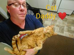 Left to right: Max, Binx, Axe and Halligan (Bayleigh my other black cat is  missing from pic)