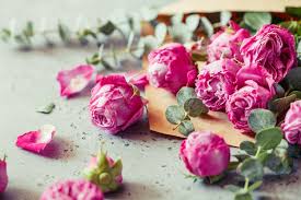 Wer rosen im garten hat, kann auch einmal versuchen, rosenwasser selbst herzustellen. Diy Rosenwasser Seife Fur Zu Hause Lavera Naturkosmetik