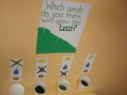 What Do Plants Need To Grow Prek Class Experiment And Prediction Center Science Center Preschool Kindergarten Science Plants Kindergarten