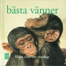 Utöver det har deras vänskap, kärlek och lojalitet inga gränser. Basta Vanner Kloka Citat Om Vanskap