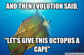 Pin By Areti Anastassopoulos On Under The Sea Evolution Teacher Memes Blanket Octopus