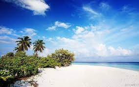Use them in commercial designs under lifetime, perpetual & worldwide rights. Hd Wallpapers Beach Wallpaper Cave
