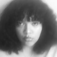 Any beginner sewing classes in Lansing?