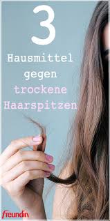 trockene haare diese 4 pflegeprodukte helfen rezept fur diy haarkur diy hair treatment hair hacks dry hair care