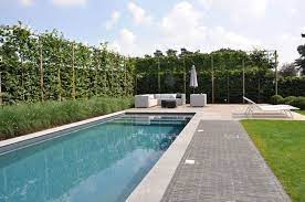 vande moortel tuin zwembad tuin tuin ideeen