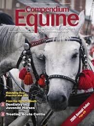 But does this wellness craze actually have legitimacy behind it? Compendium Equine November 2009 By Davidpsu Issuu