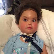 Associação Abrigo para a Vida