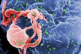 HPV no Homem - HPV Online - Tudo o que você precisa saber sobre o HPV