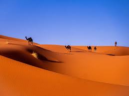 We would like to show you a description here but the site won't allow us. Deserto Do Saara Fatos E Caracteristicas Ecycle